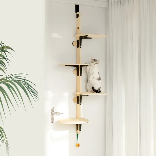 Hanging Cat Climbing Frame Behind The Door | Robotime Online