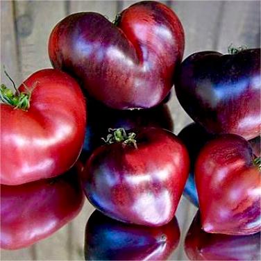 Sgt. Pepper's Tomatoes Seeds - Heirloom