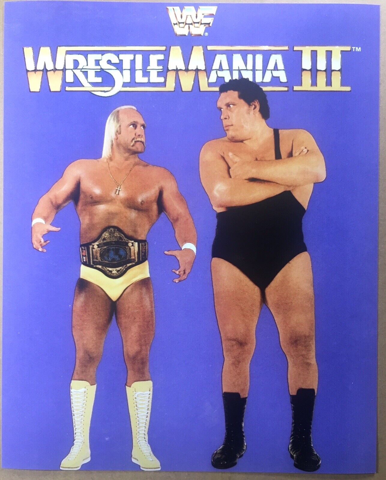 Wrestlemania 3 Photo Poster painting Print 8x10 Hulk Hogan Andre The Giant