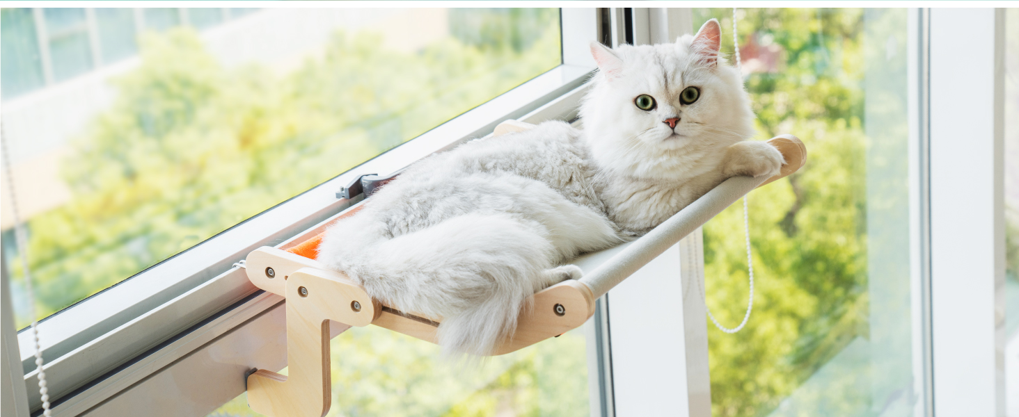 cat window perch