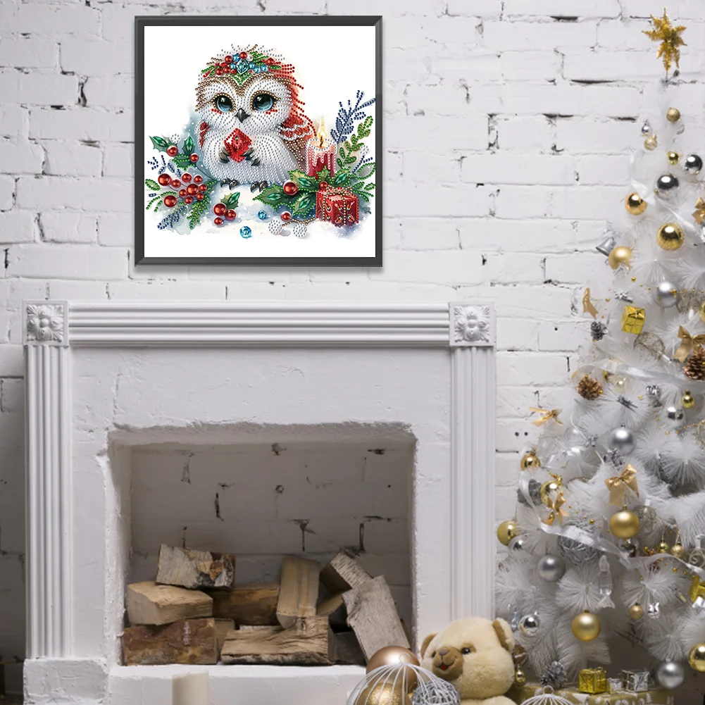 Diamond Painting - Partial Special Shaped Drill - Winter Owl(Canvas|30*30cm)