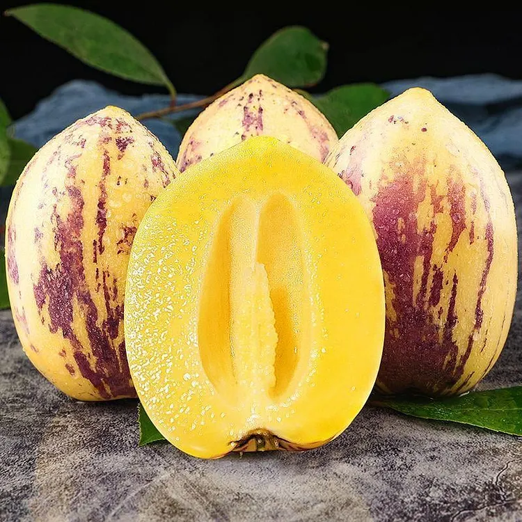Premium Heirloom Sweet Pepino Melon Seeds for Planting - Non-GMO Exotic Fruit Seeds, Perfect for Home Gardens & Patios-LGZ 