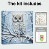 (25x25cm)DIY Owl Framed Handmade Pearl Painting Art Craft Kit Living Home Decor