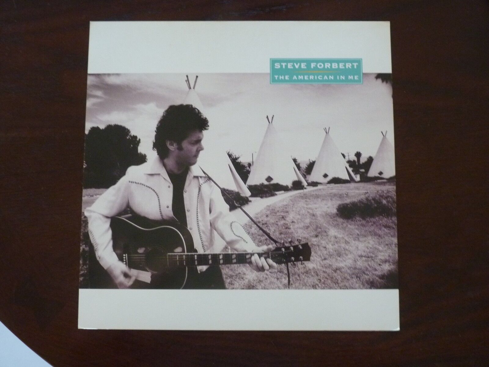 Steve Forbert American in Me 1992 Promo LP Record Photo Poster painting Flat 12x12 Poster