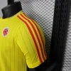 Player Version 2026 Colombia Yellow Terrace Icons Jersey
