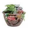 Succulent Pot Bonsai Container Decorative Flower Planter Pot for Micro Landscape