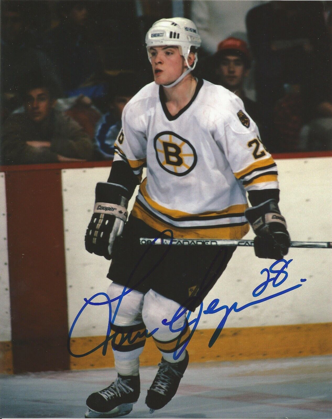 TOM FERGUS SIGNED BOSTON BRUINS 8x10 Photo Poster painting w/COA