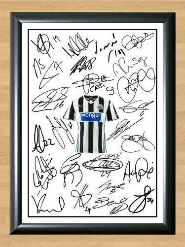 Newcastle United Squad Team 2013 14 N Sissoko Signed Autographed Photo Poster painting Poster Print Memorabilia A4 Size