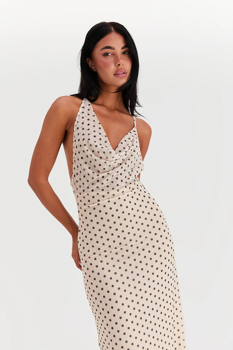 Fiora Maxi Dress Polka Dot (2).jpg