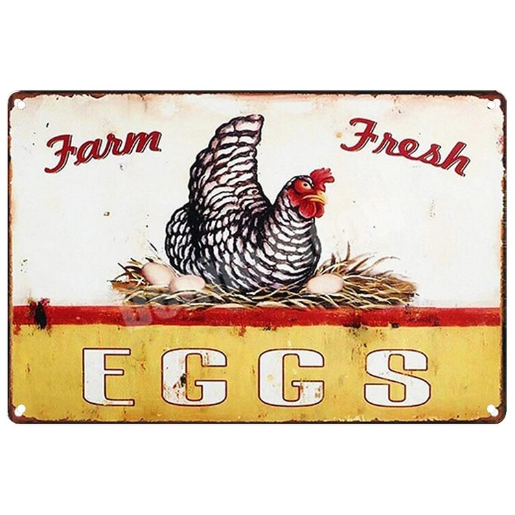 Chicken - Farm Fresh Eggs Vintage Tin Signs/Wooden Signs - 20x30cm & 30x40cm