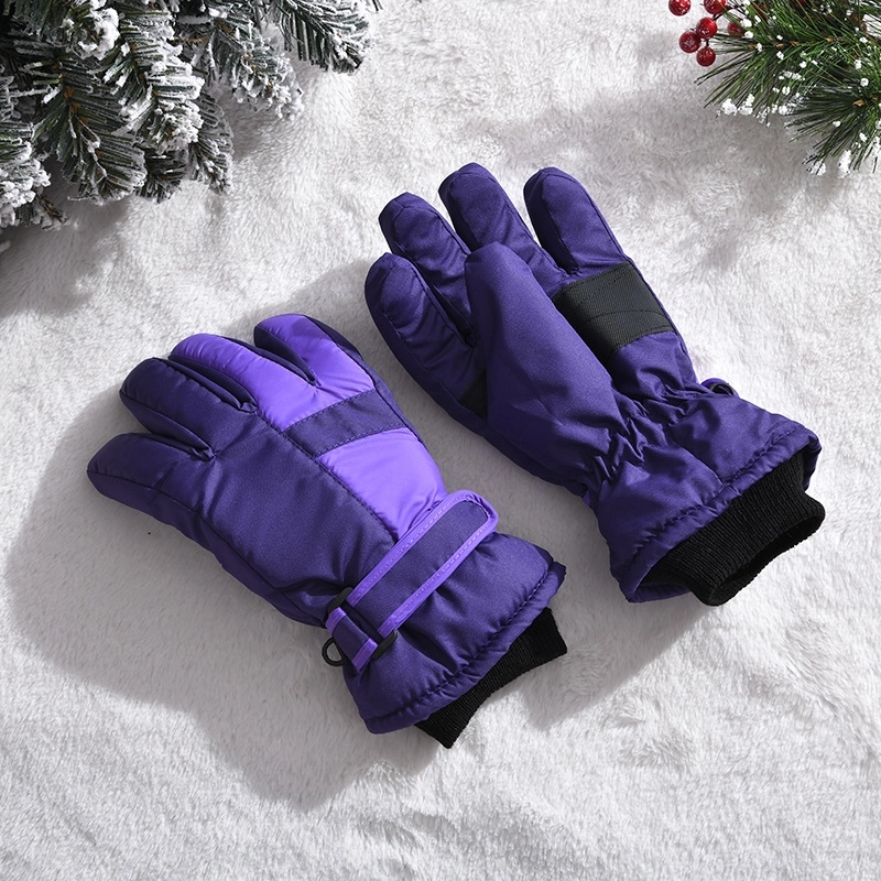 Outdoor Ski Gloves Winter Wear-resistant Velvet Padded Warm Gloves Cold-proof Waterproof Riding Gloves