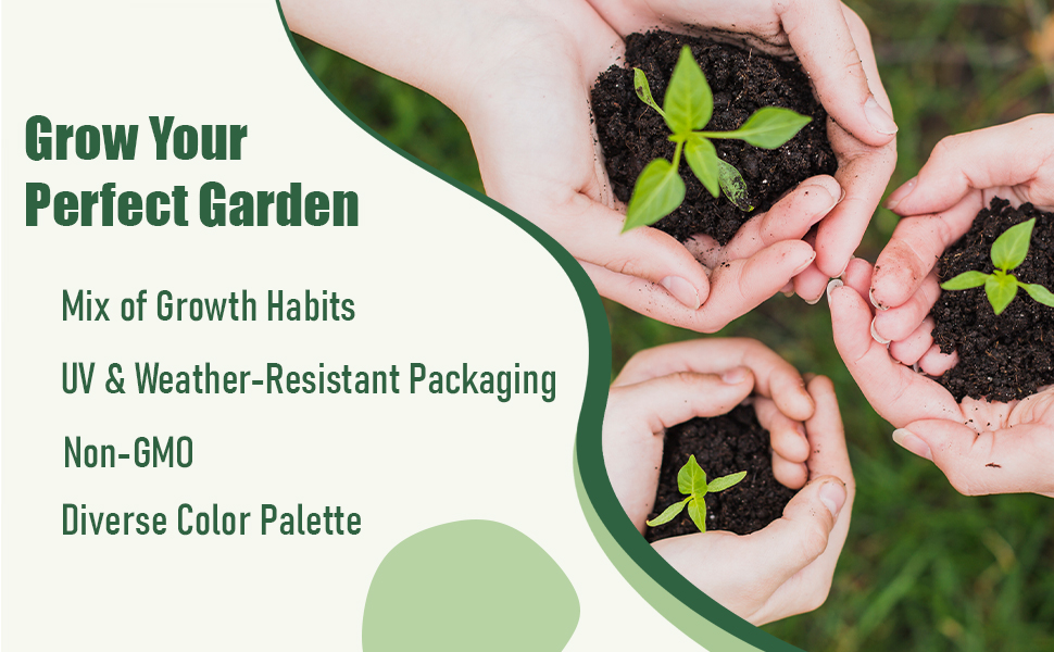 Grow Your Perfect Garden with Aero Seeds SPN-MC368P