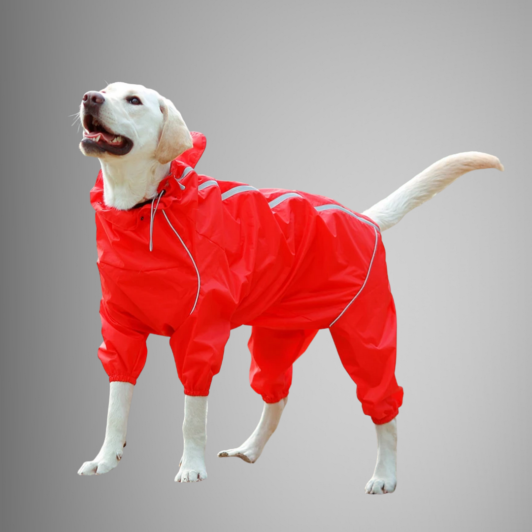 Waterproof Dog Rain Coat Hooded Jumpsuit - vzzhome