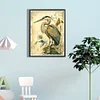 (Grande Taille) Oiseau-plein diamant rond peinture-40 * 60cm