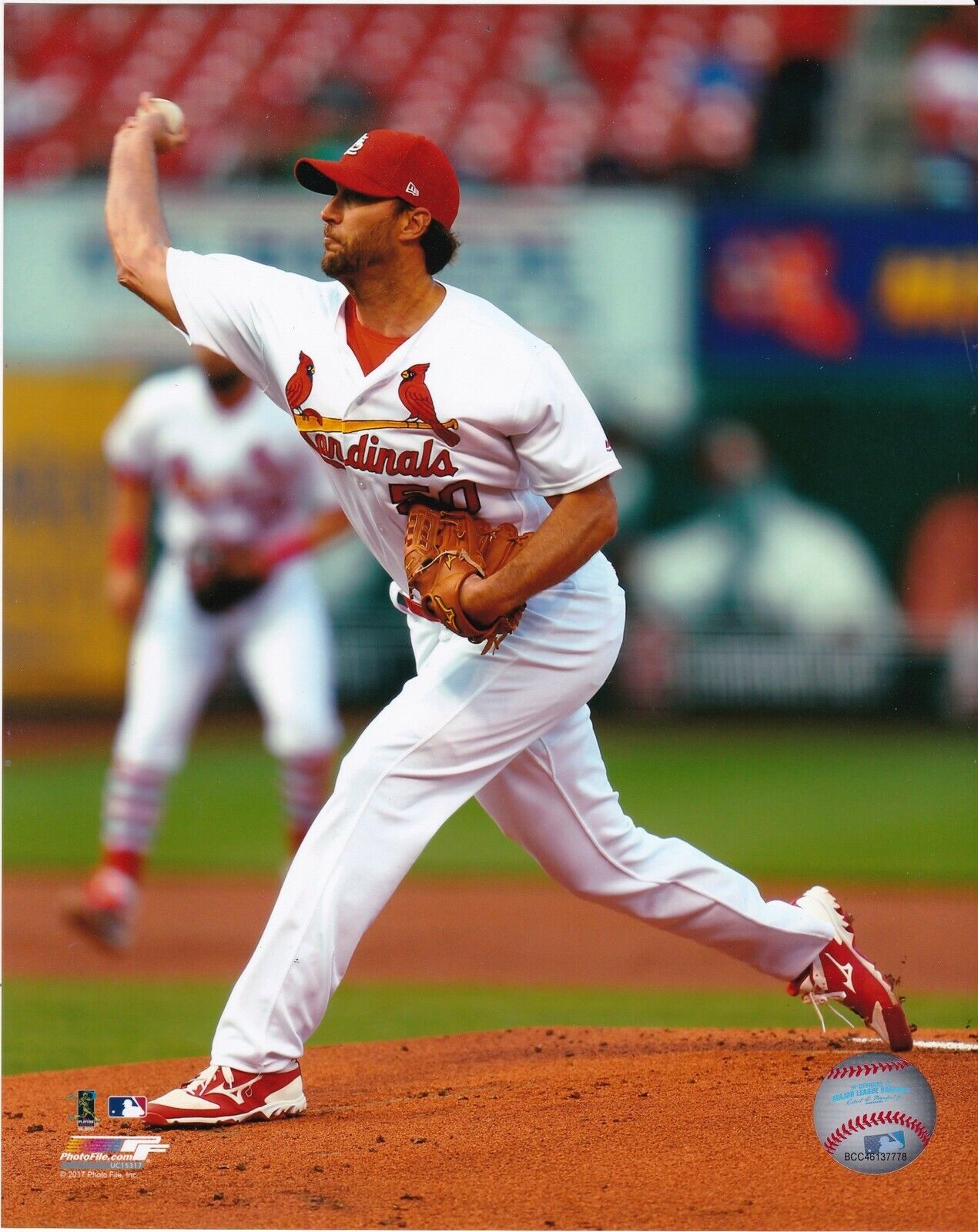 ADAM WAINWRIGHT ST. LOUIS CARDINALS Photo Poster paintingFILE LICENSED ACTION 8x10 Photo Poster painting