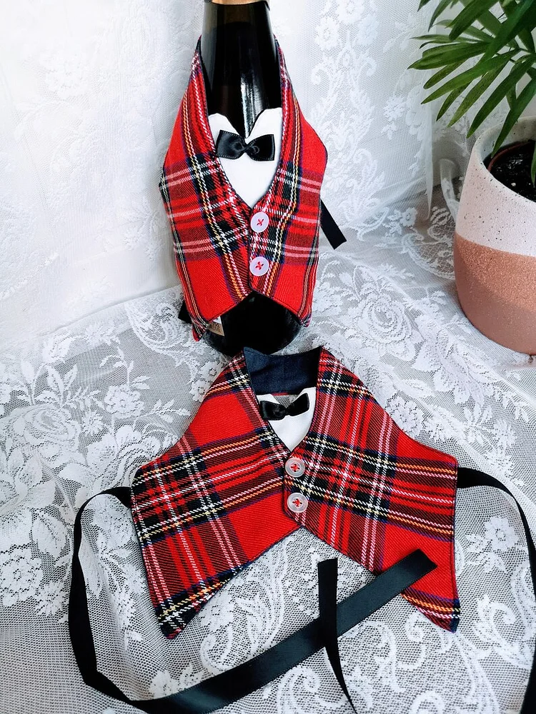 DIY Cute Party Wine Vest