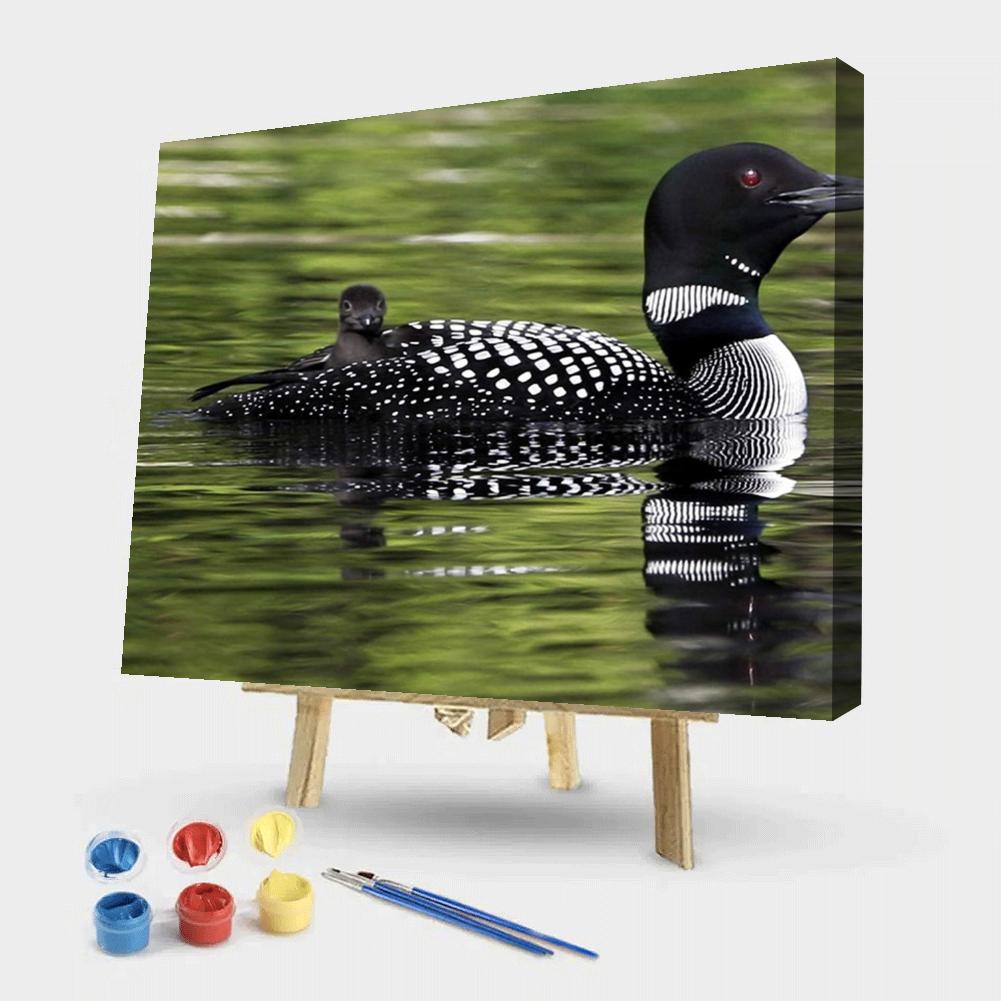 Duck - Painting By Numbers - 50*40CM gbfke