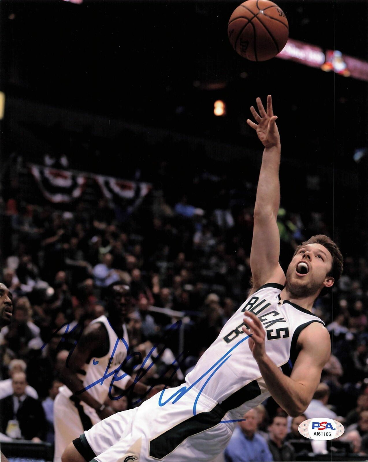 Matthew Dellavedova signed 8x10 Photo Poster painting PSA/DNA Milwaukee Bucks Autographed