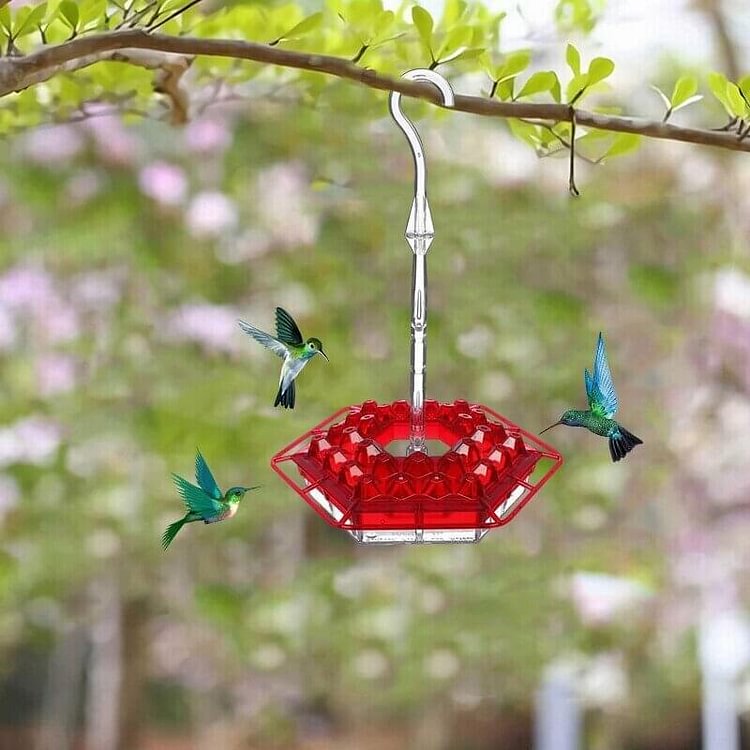 Perniniy Marys Hummingbird Feeder With Perch And Built-In Ant Moat-Buy 2 Free Shipping