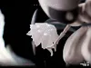 The Knight: Silksong Redemption with LED - Hollow Knight Resin Statue - 27Yu Studios