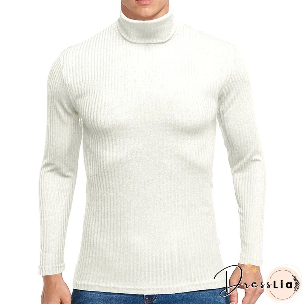 Men's Solid Casual Long Sleeve Turtleneck Sweater