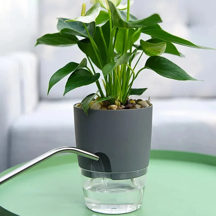 Self Watering Plant Pot with Wick Rope for Indoor Outdoor Plant