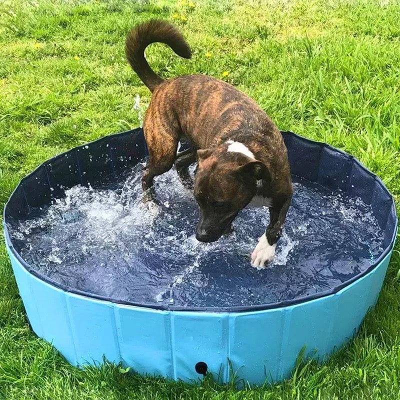  Foldable Dog Pool Pet Bath Swimming Tub