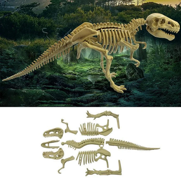 DIY Archaeological Mining Dinosaur Fossil Toys | 168DEAL