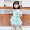 Kid Baby Girl Autumn Casual Cute Gauze Dresses