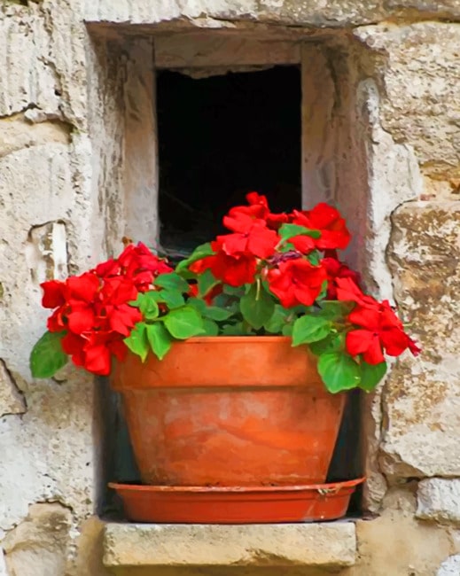 

Vintage Red Flowers – Paint By Numbers - 40*50CM, 501 Original