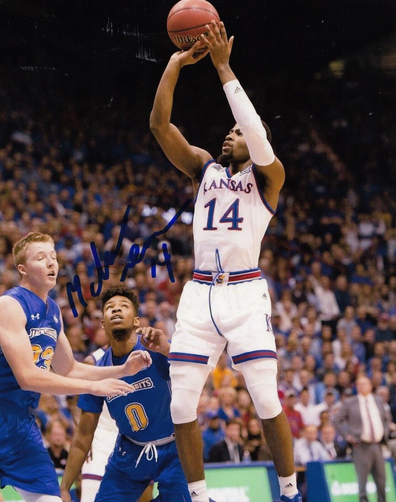 MALIK NEWMAN signed (KANSAS JAYHAWKS) Basketball NBA 8X10 Photo Poster painting W/COA #5