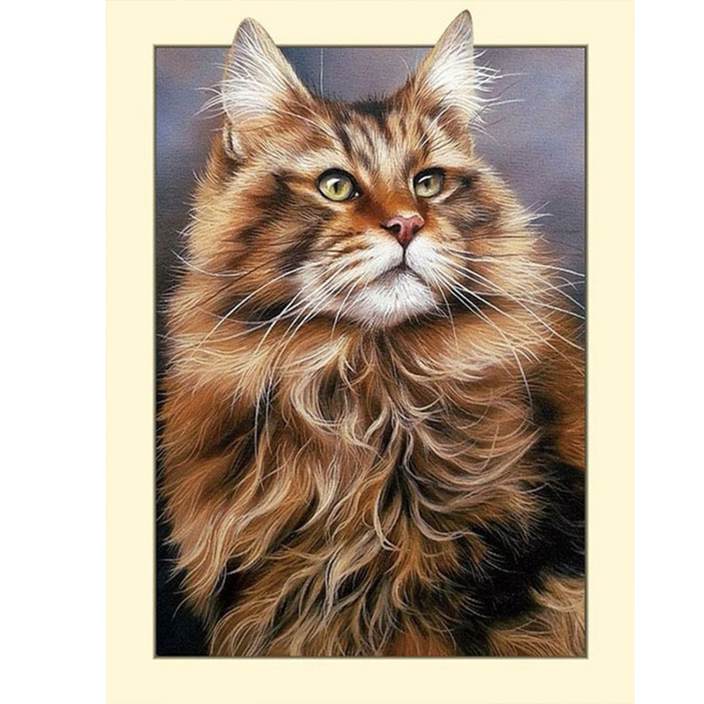

Picture Frame Cat - Round Drill Diamond Painting - 30*40CM, 501 Original