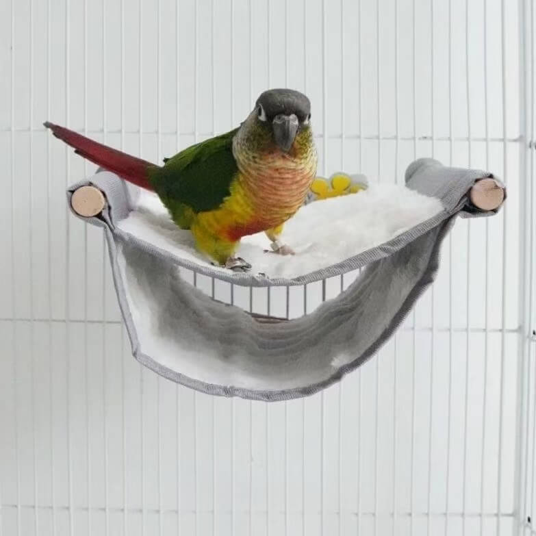 Elegant Parrot Hammock 2025 Model  Birdcagelab