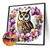 Diamond Painting-DIY Full Round Drill Owl(40*40CM)