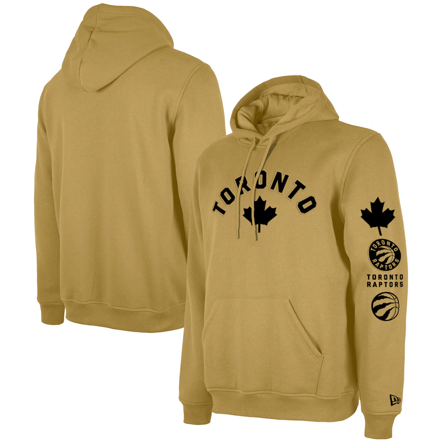 Men's Toronto Raptors  Tan 2023/24 City Edition Pullover Hoodie mysite