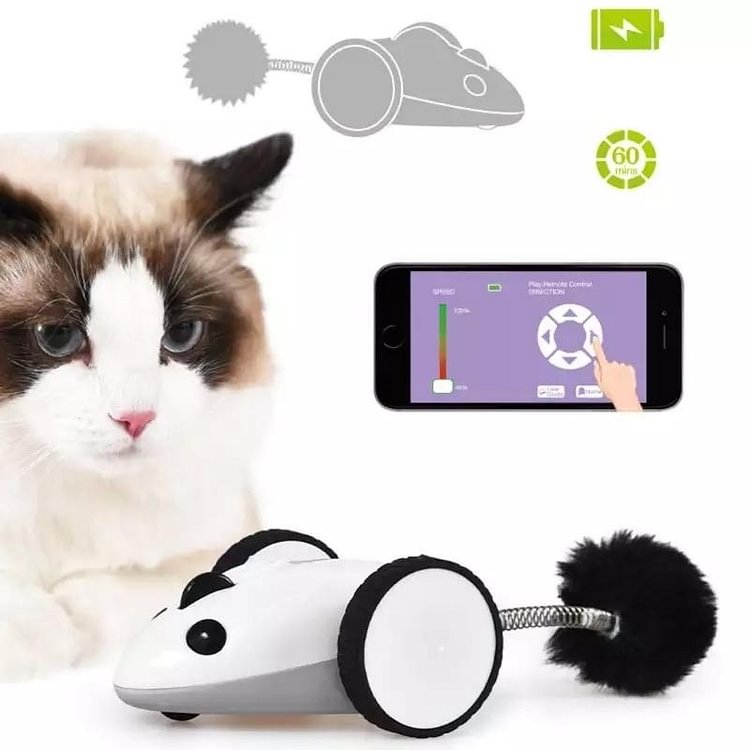 Cat Toy App Controlled Moving Mouse