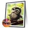 Best lowest diamond painting - Coodeals diamond painting