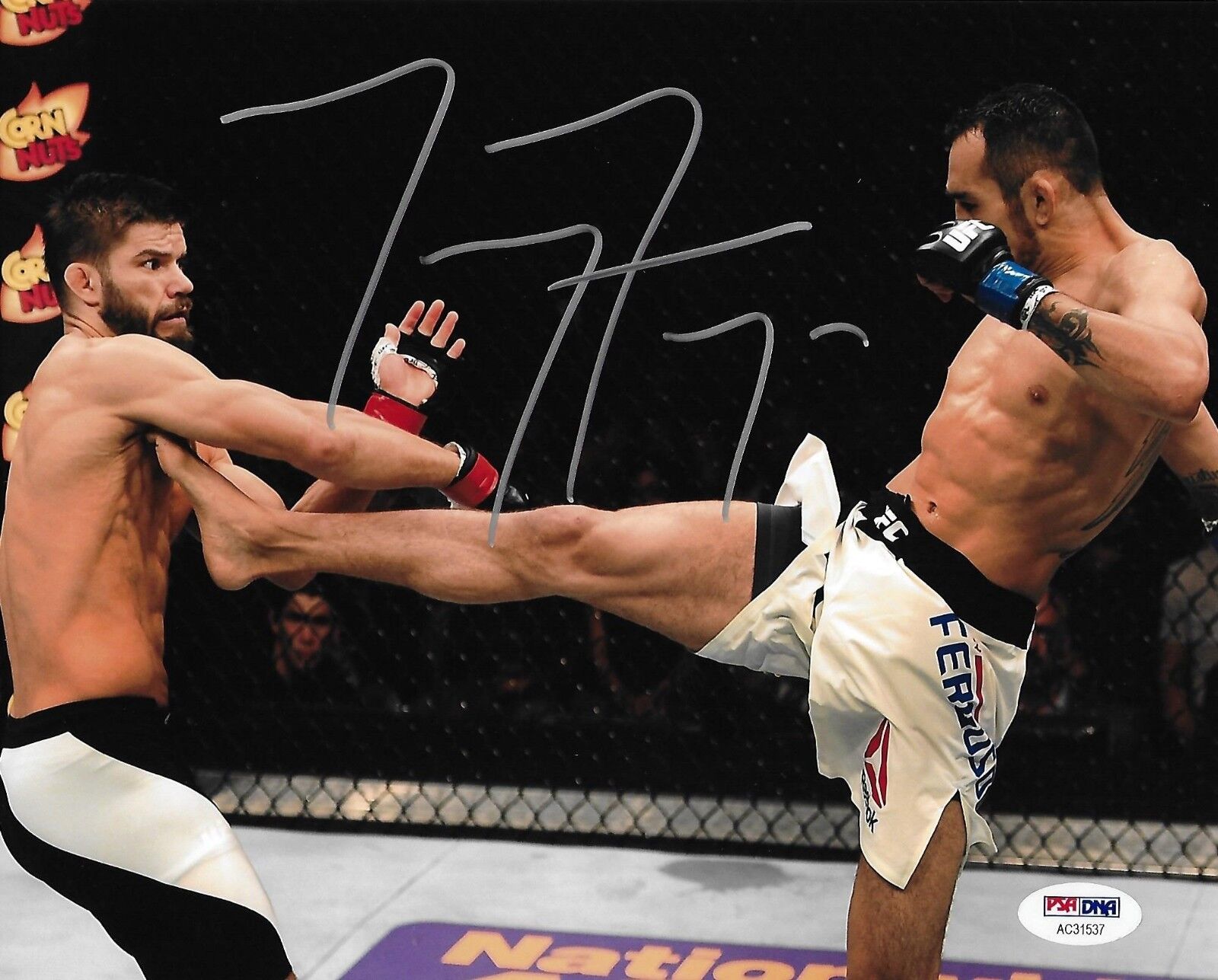 Tony Ferguson Signed UFC 8x10 Photo Poster painting PSA/DNA COA Fight Night 71 Picture Autograph