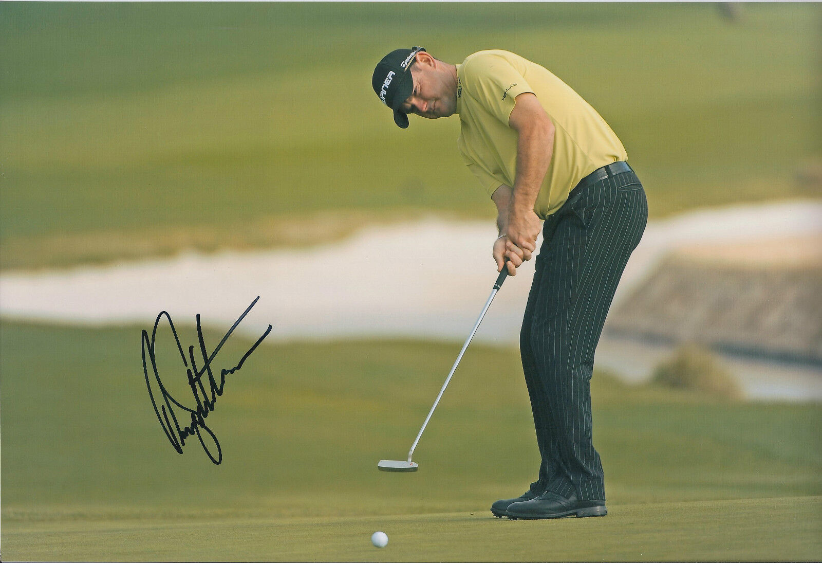 Rory SABBATINI SIGNED 12x8 Photo Poster painting AFTAL Autograph COA US PGA Golf