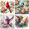 (US Local)Bird-Paint By Numbers Kit(30x30cm)