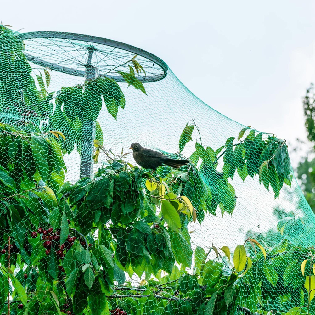 

Anti Bird Protection Netting Mesh Fruit Tree Plants Crops Pest Control Net, 4*6m, 501 Original