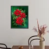 (5 Sizes)Christmas Poinsettia-Full Square Diamond Painting