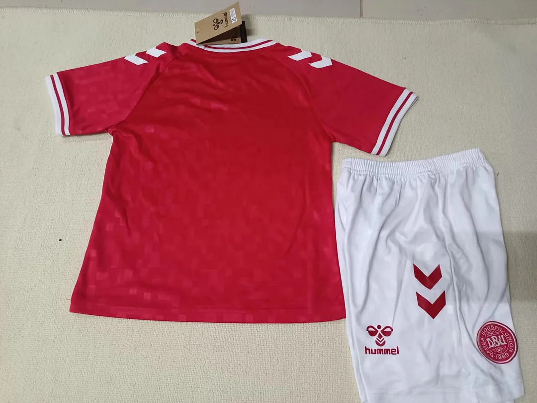 2024 Kids Size Denmark National Team Home Football Shirt 1:1 Thai Quality