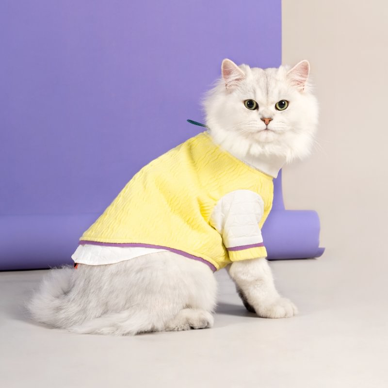 Cute Spring Cat Clothes Mewoofun mewoofun