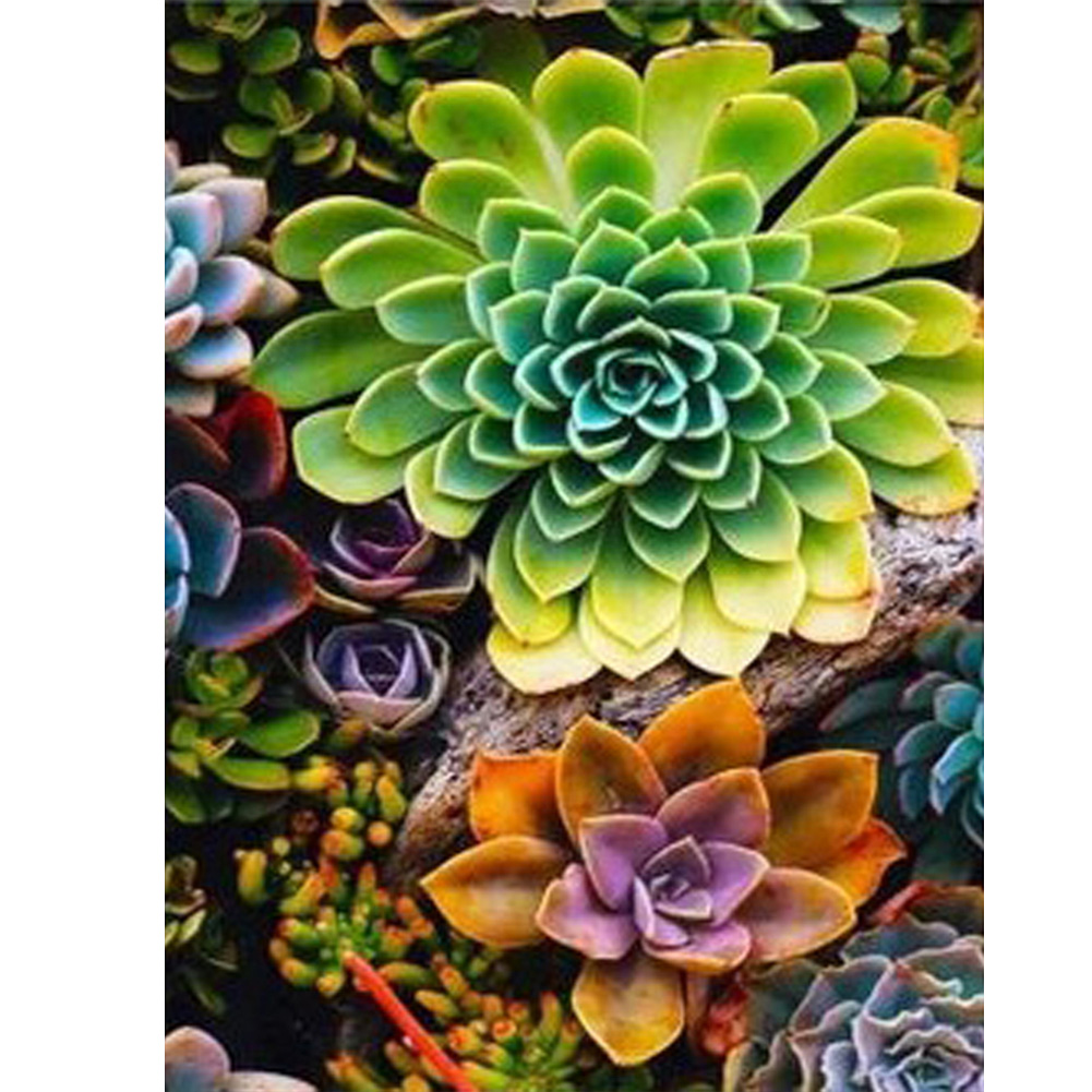 

30*40CM - Square Drill Diamond Painting - Succulents Plant, 501 Original