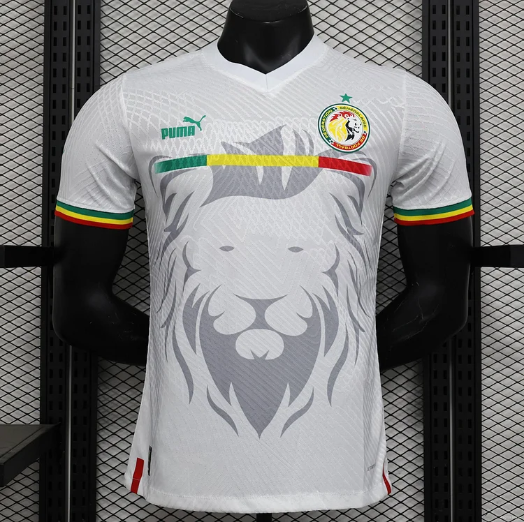 Cameroun  Maillots De Foot Pas Cher 2023-2024