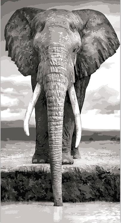 

Elephant – Paint By Numbers - 40*50CM, 501 Original