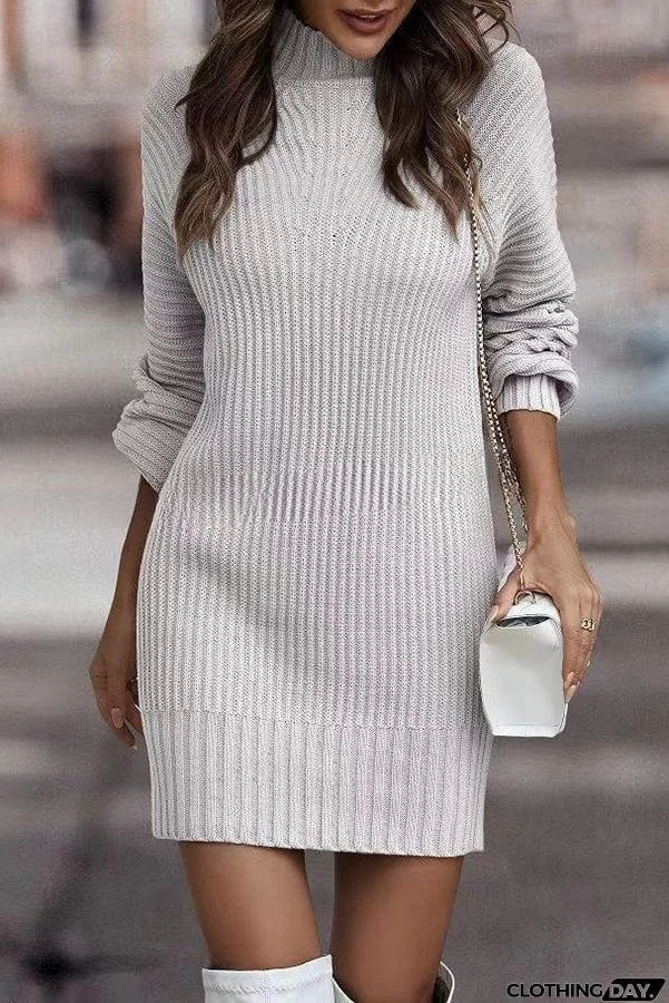 Rieuh Turtleneck Long Sleeve Knitted Mini Dress
