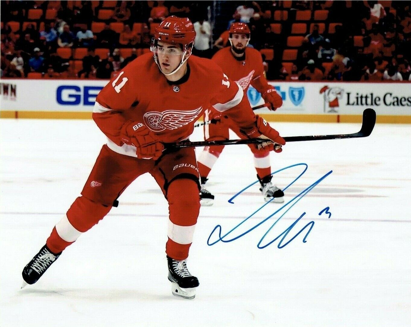 FILIP ZADINA autographed SIGNED DETROIT RED WINGS 8X10 Photo Poster painting