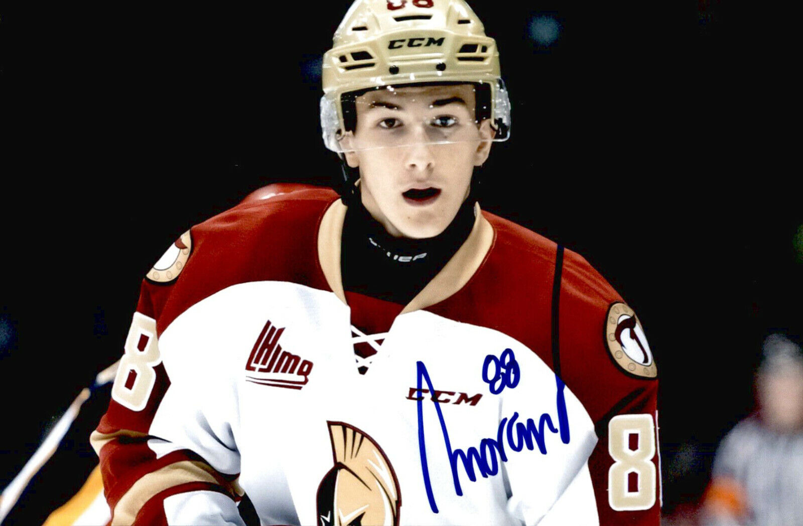 Antoine Morand SIGNED 4x6 Photo Poster painting ACADIE BATHURST TITAN / ANAHEIM DUCKS